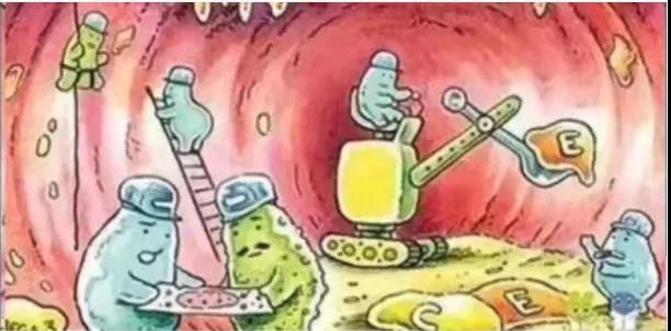 1639107554449897.jpg 1639107554449897.jpg