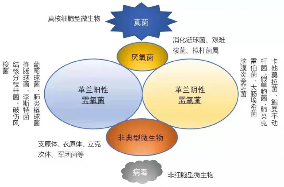 1639107636256039.jpg 1639107636256039.jpg