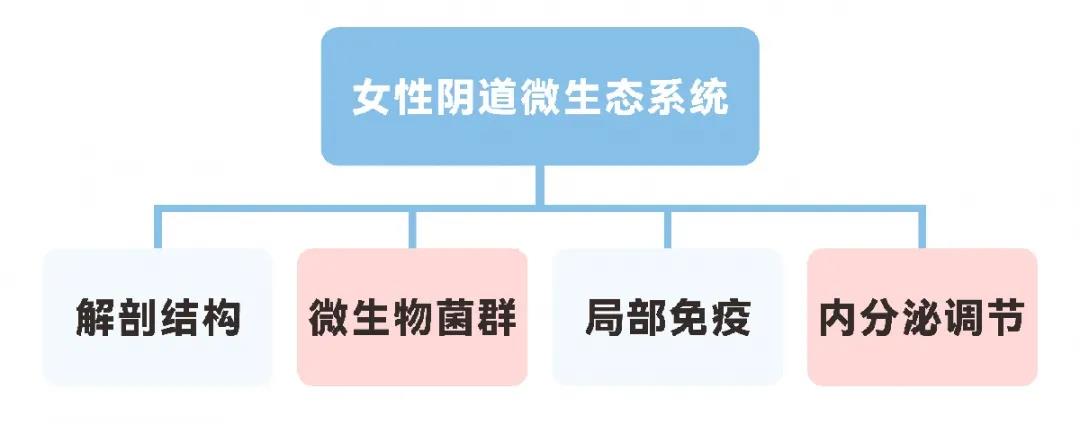 1639116605489314.jpg 1639116605489314.jpg