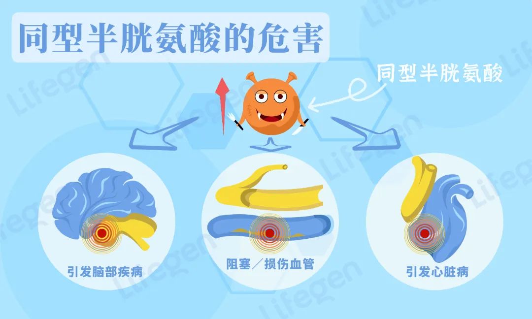 1655455457606705.jpg 2.jpg