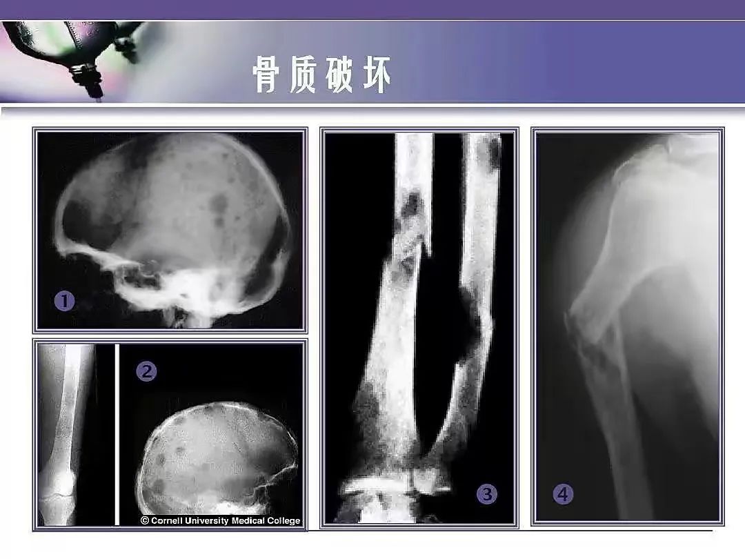 1655457511539747.jpg 4.jpg