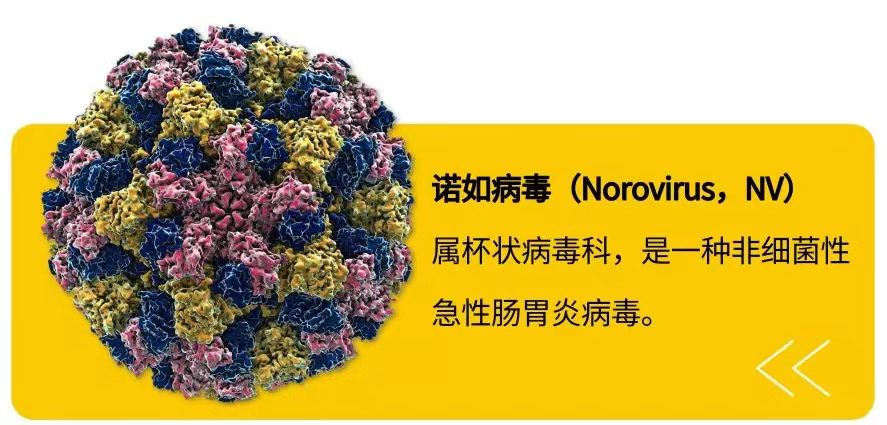 1666677136836064.png 微信图片_20221025133300.png