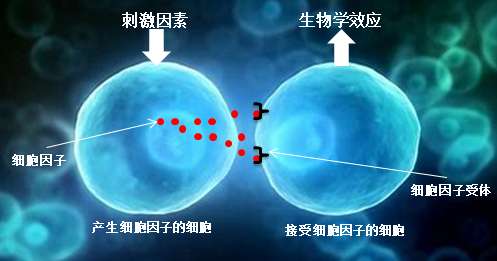 1674893780427631.png 微信图片_20230128161518.png