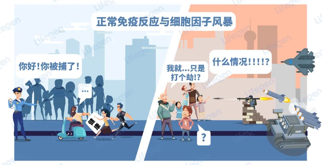 1674893786203382.jpg 微信图片_20230128161525.jpg