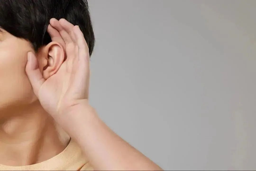 1678324831175330.jpg 微信图片_20230309092244.jpg