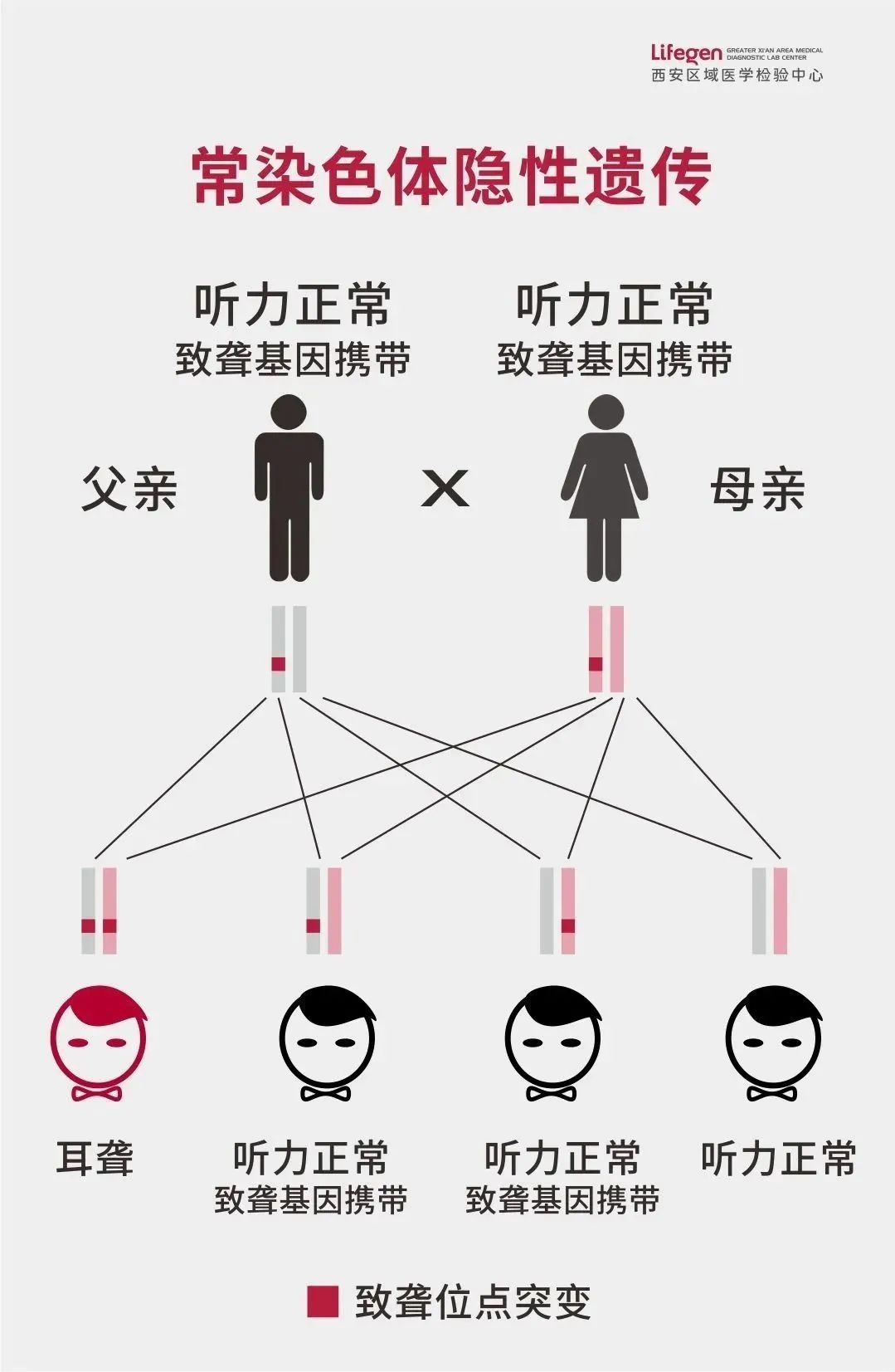 1678324854801954.jpg 微信图片_20230309092252.jpg