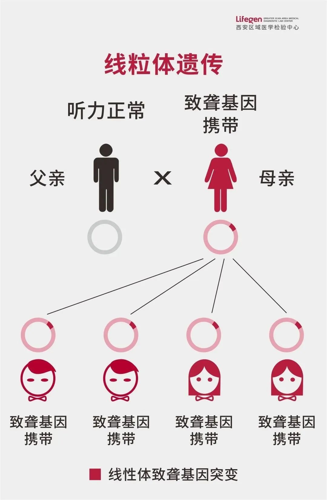 1678324890418369.jpg 微信图片_20230309092256.jpg