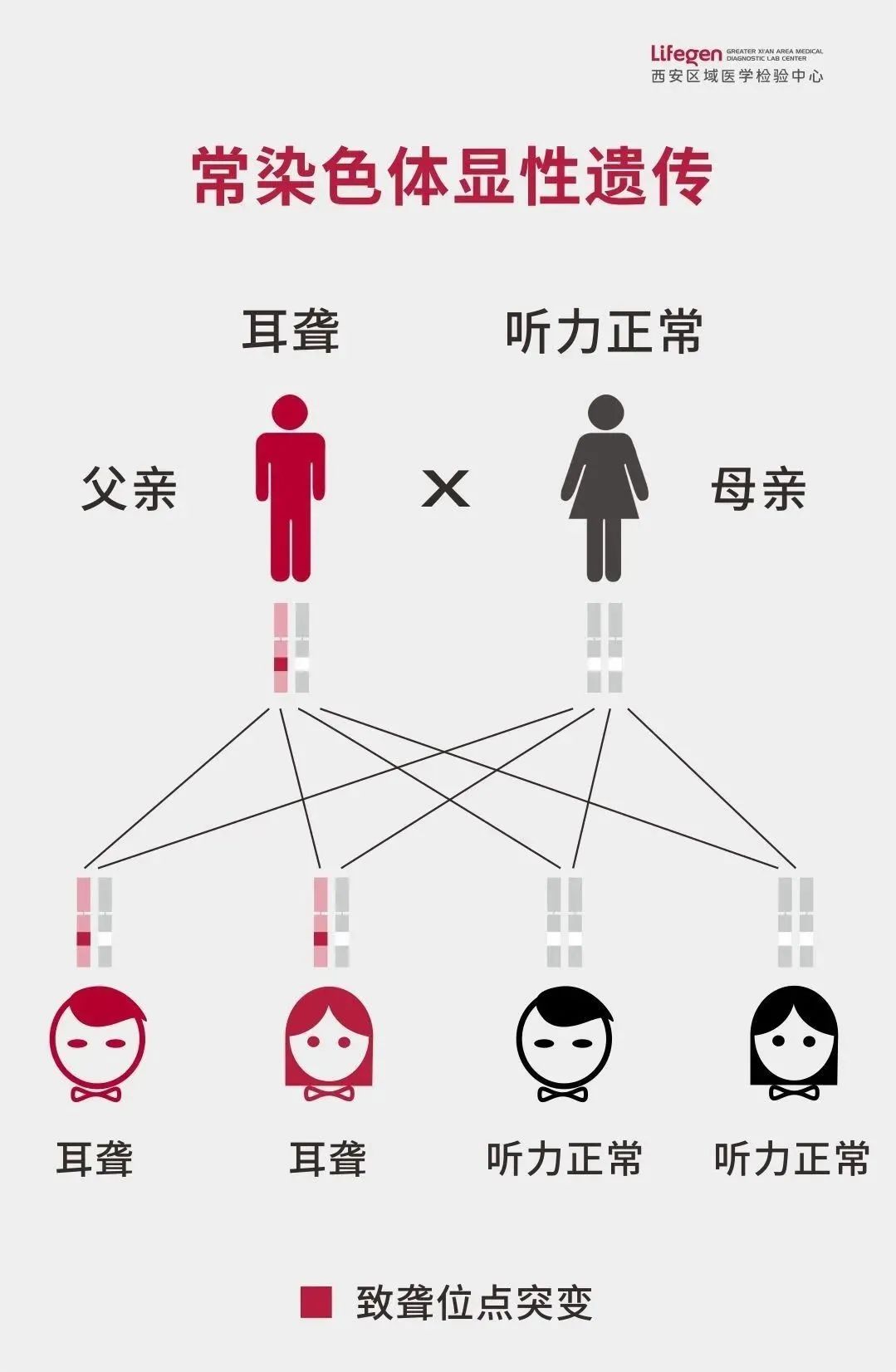 1678324899395799.jpg 微信图片_20230309092259.jpg