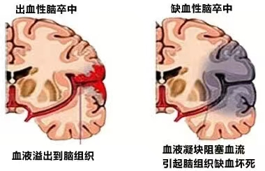 1684980183311844.png 640.png