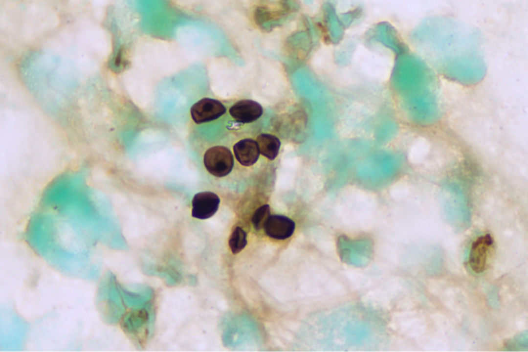 1698733053165953.png 微信图片_20231031141730.png