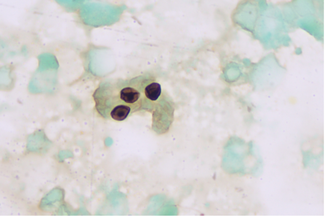 1698733060801928.png 微信图片_20231031141733.png