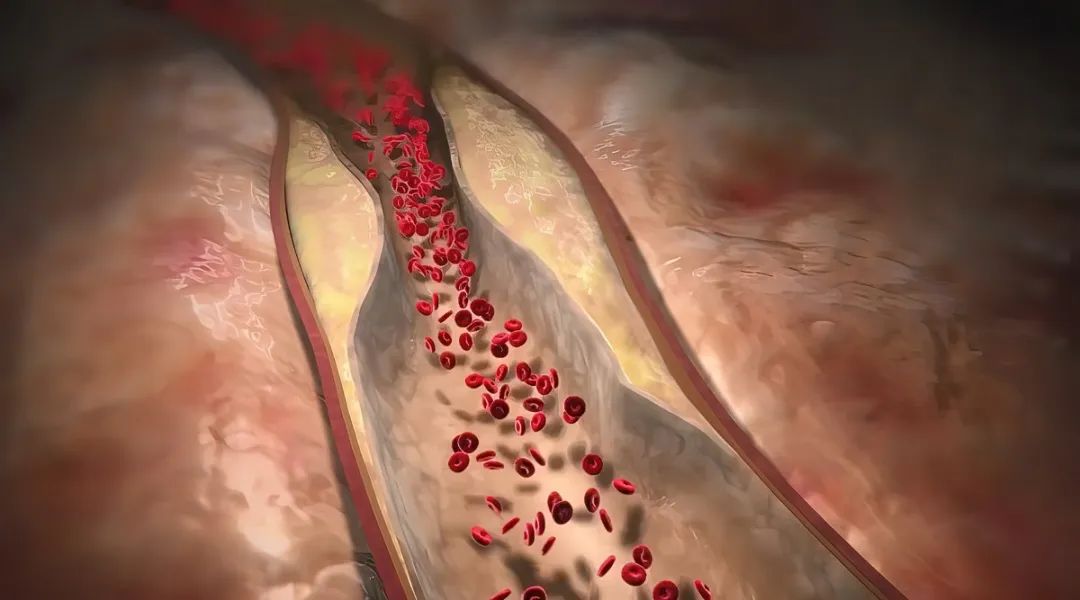 1698737390360614.jpg 微信图片_20231031152826.jpg