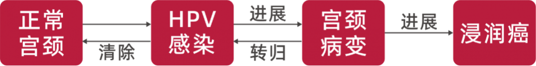 1708567291580509.png 3.png