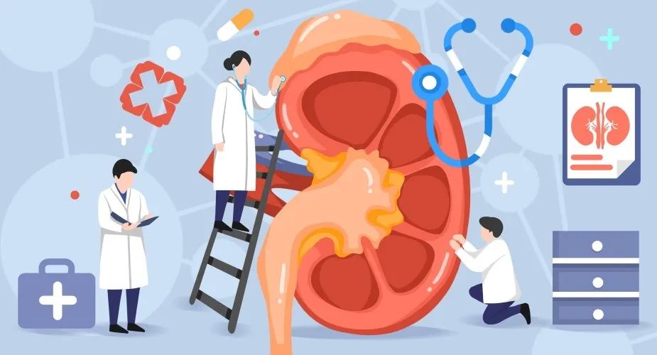 1708582536961419.jpg 1.jpg