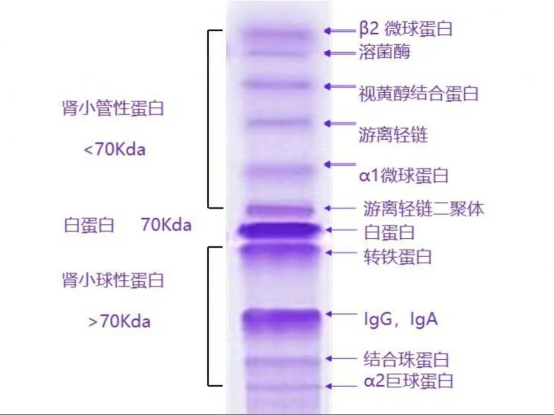 1708582705490898.jpg 4.jpg