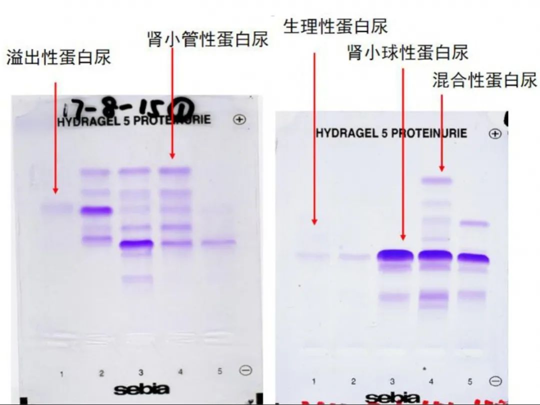 1708582721169112.jpg 5.jpg