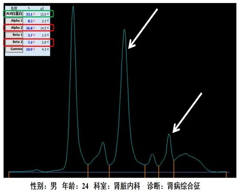 1708582738166212.jpg 6.jpg