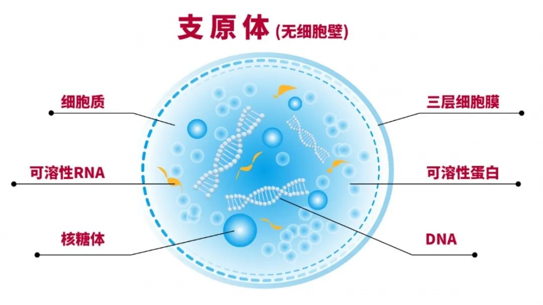 1708919310248135.jpg 640.jpg