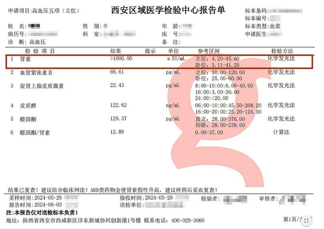 1717575986632215.jpg 微信图片_20240605163517.jpg