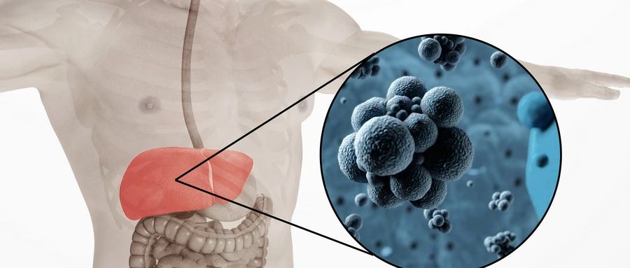 1722475711321321.jpg 微信图片_20240801092808.jpg