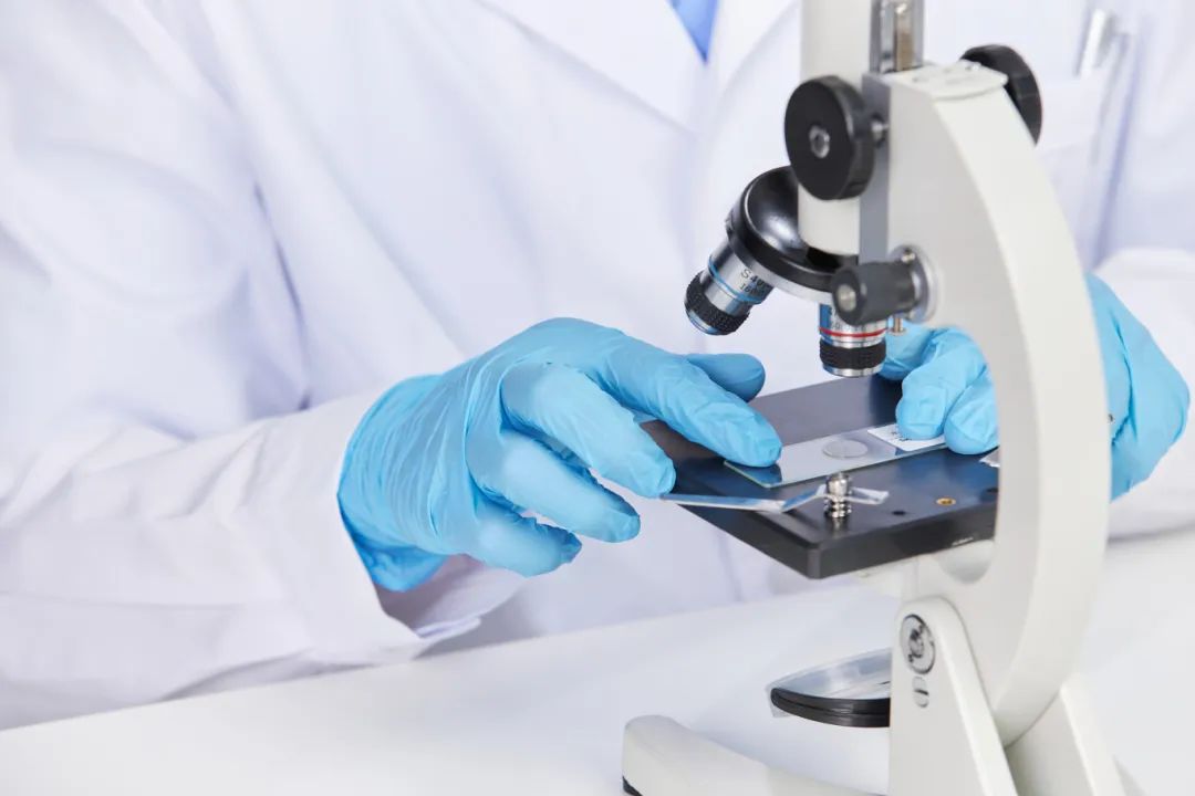 1732861147790393.jpg 微信图片_20241129141838.jpg