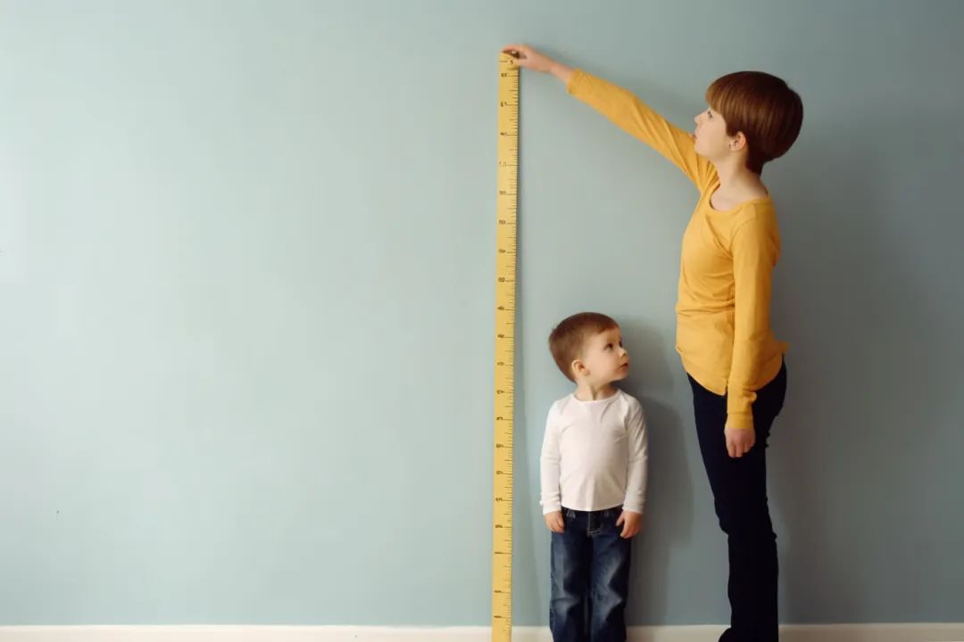 1735869059245521.jpg 微信图片_20250103095120.jpg