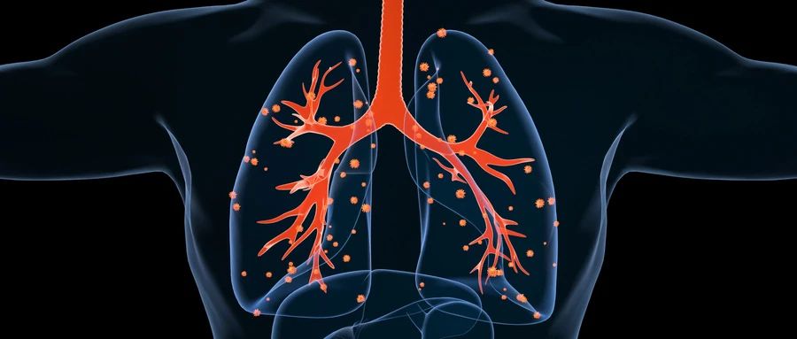 1735869306161958.jpg 微信图片_20250103095643.jpg