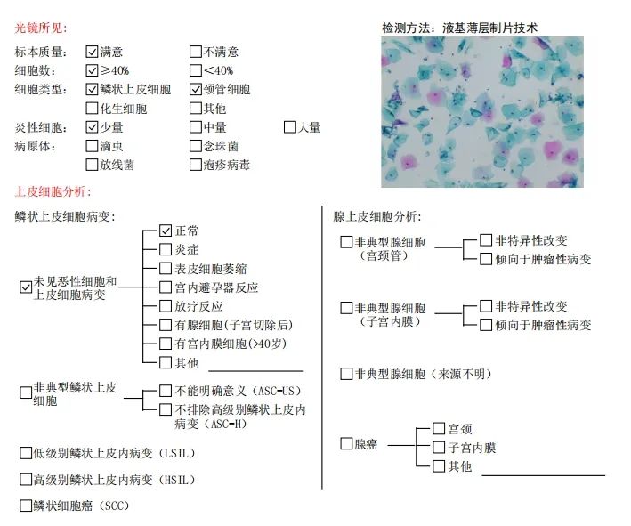 1742264280697544.jpg 微信图片_20250318102240.jpg